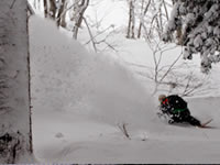 芽育・雪板・スノーボード